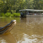 Neden Bu ABD Eyaleti 2025 Yılında Yaşamak İçin En Tehlikeli Eyalet Olarak Görülüyor?