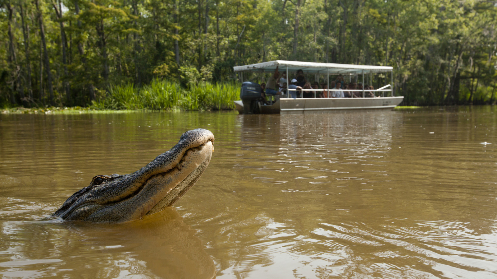 Neden Bu ABD Eyaleti 2025 Yılında Yaşamak İçin En Tehlikeli Eyalet Olarak Görülüyor?