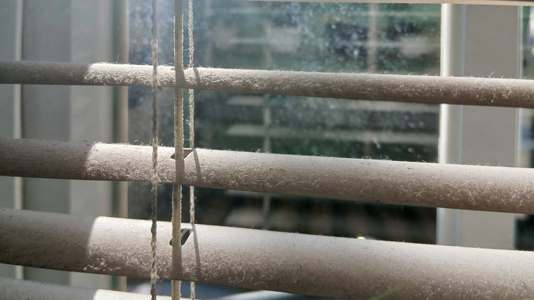 Tozlu metal Jaluziler yakından.