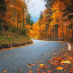 Sonbaharı Seviyor musun? Burası Yaşayabileceğiniz En İyi Bölge Olabilir