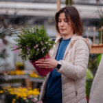 Fidanlıktan Bitki Aldığınızda Saksıyı İki Kez Kontrol Edin