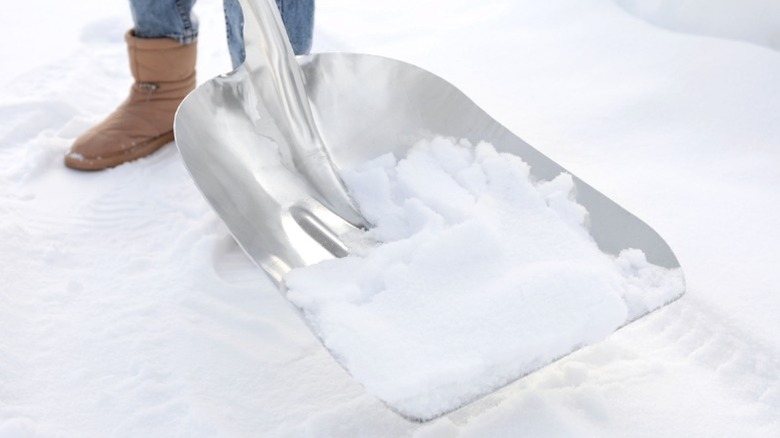 kar küremek için alüminyum kepçe küreği kullanan kişi