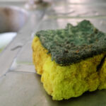 Bu Harika Mutfak Depolama Çözümüyle Çirkin Süngerleri Gizleyin