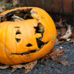 Çürüyen Balkabaklarını Atmayın, Komposta Ekleyin ve Toprağınızın Kalitesini Artırın