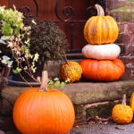 Dolar Ağacı İstiflenebilir Balkabağı Dekoruna Büyük Bir Yükseltme Sağlayan Kolay DIY