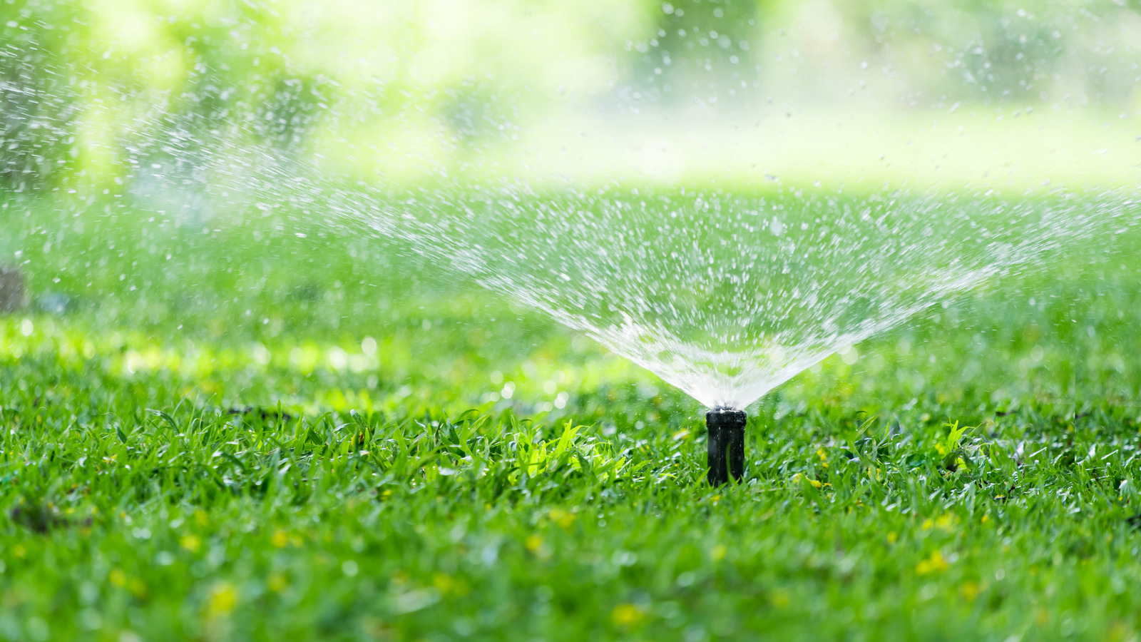 Soğuğa Dayanıklı Bir Yağmurlama Sistemi İçin Kışa Hazırlamanız Gereken Zaman Budur