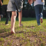 Bahçenizdeki Çıplak Alanları Doldurmak İçin Bu Çiçekli Zemin Örtüsünü Ekin