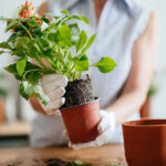 Yeni Başlayanlar İçin Mükemmel Olan Bu Kolay Kendin Yap ile En Şirin Asılı Saksıları Yapın