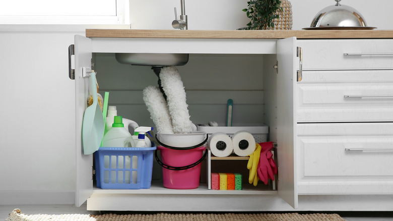 Temizlik malzemeleriyle mutfak lavabosunun altındaki dolap kapıları açıldı