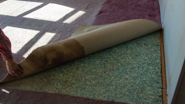 Büyük, kırmızı renkli bir halı, altındaki döşemenin bir kısmını ortaya çıkarmak için katlanıyor.