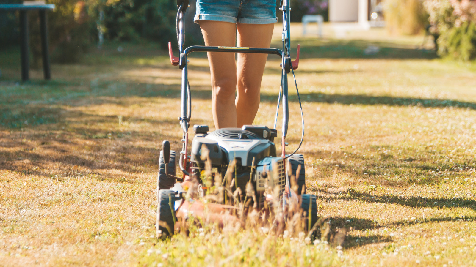 Çimlerinizin Kuraklıktan Kurtulmasına Nasıl Yardımcı Olabilirsiniz?