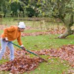 Tırmıklamayı Tam Bir Esinti Haline Getiren Etkili Yöntem