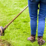 Daha Az Dağınıklıkla Daha Kolay Bir Kesim İçin Çimlerin Kenarlarını Düzeltmeden Önce Bu Hızlı Görevi Ekleyin