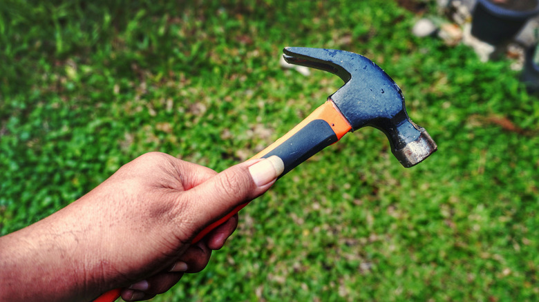 Çimenlerin yanında pençe çekici tutan el