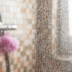 Duşunuzu Fırçalamayı Çok Kolaylaştıran Dolar Ağacı Hilesi