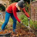 Sonbaharda Bahçenizi Azaltmak ve Temizlemek İçin Gerekli Temel Araçlar