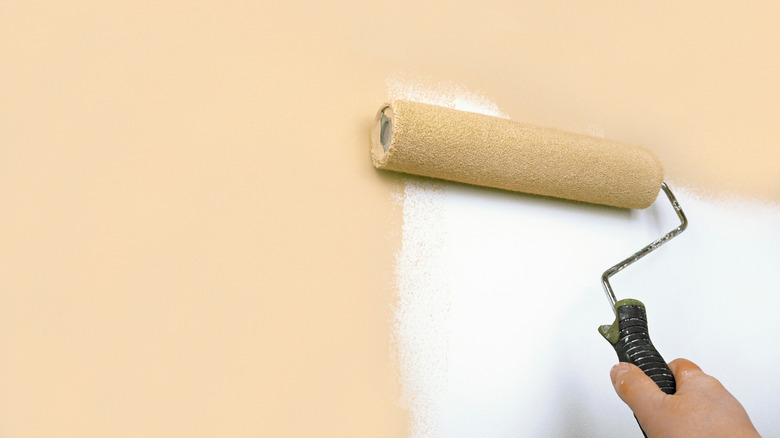 Duvarı bej rengine boyayan bir rulo tutan el