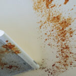 Yağlı Mutfak Tavanlarını Güvenilir Bir Zımbayla Temizleyin