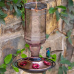 İkinci El Mağazasından Vintage Bir Besleyiciyle Sinek Kuşlarını Tarzında Besleyin