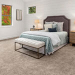 Lüks Halınız Toza Katkıda Bulunuyor: Nasıl Kullanılır?