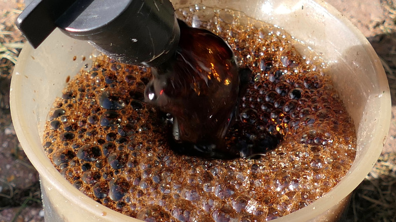 Bir solucan çiftliğinin tabanındaki musluktan solucan çayı akıyor.