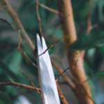 Daha Sağlıklı Bir Bahar Manzarası İçin Bu 9 Çalıyı Kasım Ayında Budayın