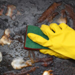 Fırın Tepsilerini Yağdan Arındırmanın Bu Doğal Yollarını Kullanarak Kimyasal Temizleyicileri Bir kenara bırakın