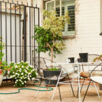 Evinizin Kenarında Asla Yetiştirmemeniz Gereken 13 Tırmanma Bitkisi