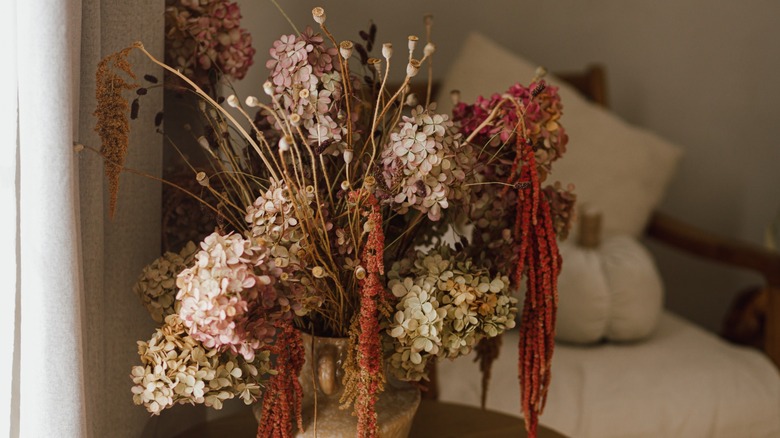 Kurutulmuş ortancalar, amaranth ve haşhaş tohumu kafaları güzel bir sonbahar buketi oluşturur.