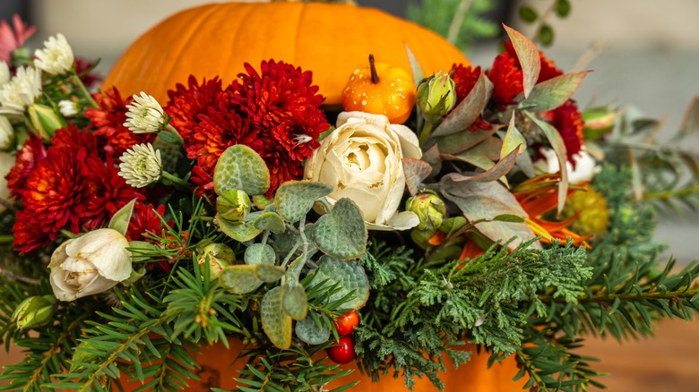 Balkabağı, kesik üst kısmıyla birlikte bir buket çiçek sergiliyor.