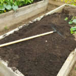 Kışın Yükseltilmiş Bahçe Yataklarındaki Toprakla Ne Yapılır (Atın veya Saklayın)