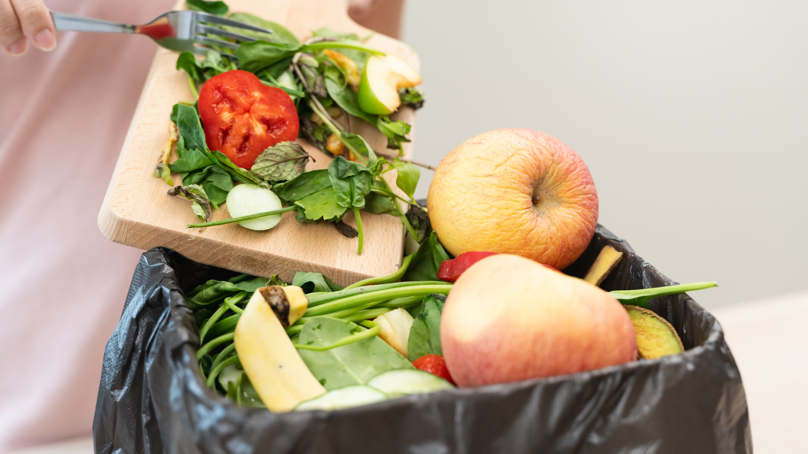 Çöp Kompaktörü Veya Çöp İmhası: Mutfağınız İçin En İyi Seçenek Hangisi?