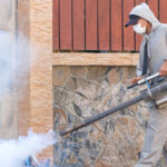 HOA'nız Haşere Kontrolünden Sorumlu mu? İşte Bildiklerimiz