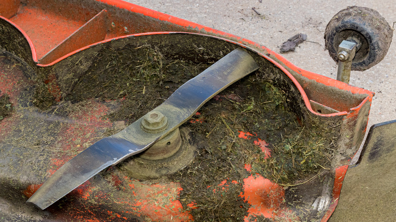 Bıçakların yakınına çim ve kir sıkışmış çim biçme makinesi güvertesi