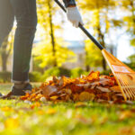 Tırmıkları Unutun: Verandadaki Yaprakları Temizlemenin Daha İyi (ve Daha Kolay) Bir Yolu Var