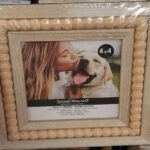 Bir Dolar Ağacı Resim Çerçevesi Ev Dekoru İçin Zarif Bir Yükselticiye Nasıl Dönüştürülür