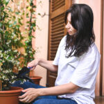 Bu Önemli Sonbahar Göreviyle İlkbaharda Daha Sağlıklı Yıldız Yasemin Alın