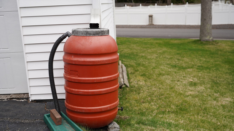 Kırmızı yağmur varilinin yakın çekimi