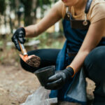 İyileştirilmiş Drenaj İçin Toprağınıza Ekleyebileceğiniz Kaya Türü