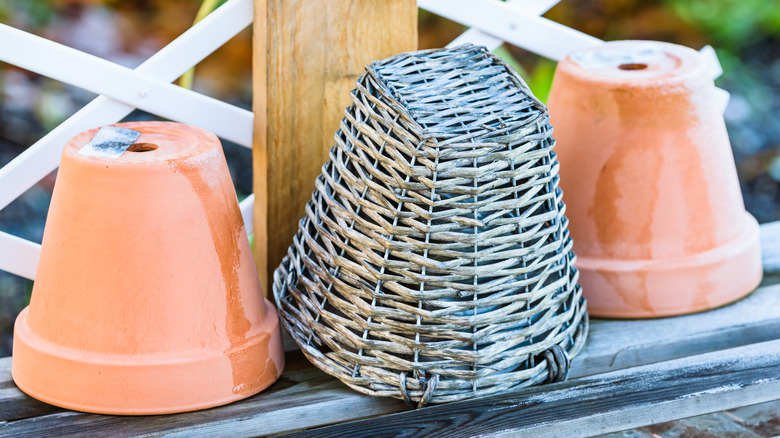 Baş aşağı saksılar veya sepetli saksılar.