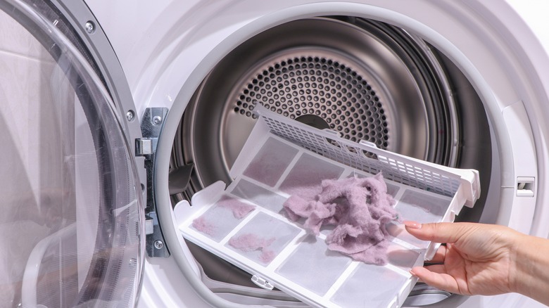 Kurutucudan tüylerin elle alınması