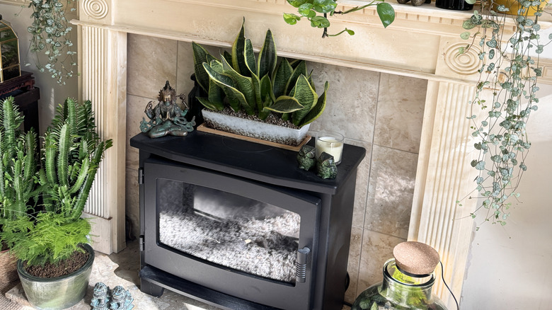 Stok fotoğrafta, doğa ve sıcaklığın uyumlu bir karışımını yaratan, iç mekan ev bitkileriyle süslenmiş şık bir şömine şömine parçası bulunmaktadır. Elektrikli şömine rahatlamak için rahat bir ışıltı sağlar