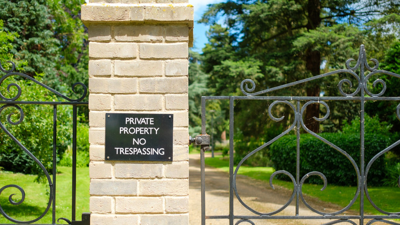 Bir işaret okuması