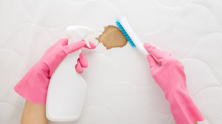 şiltedeki kahverengi lekeyi sprey solüsyonu ve fırçayla temizleyen kişi