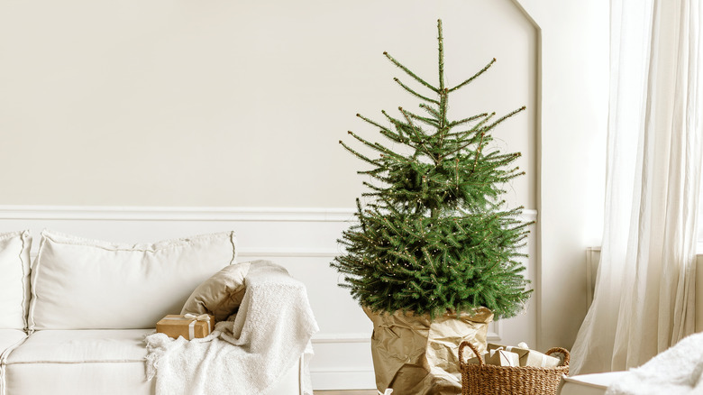 Hiçbir süsü olmayan, sadece parıldayan ışıklara sahip gerçekçi bir Noel ağacının olduğu rahat oturma odası