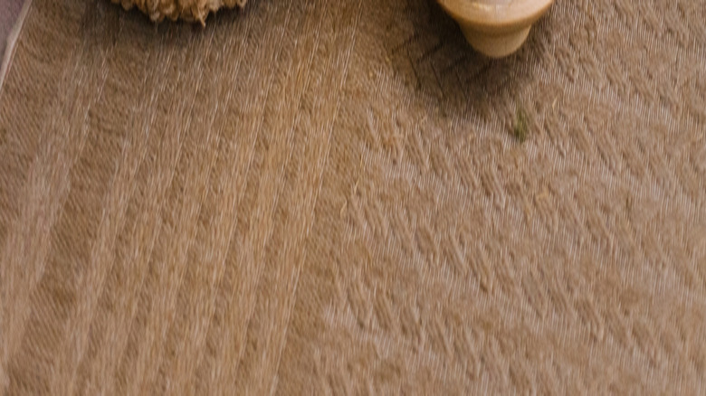 Çam kozalakları ve ışıklarla süslenmiş saksıda minimalist, doğal Noel ağaçları