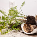 Beklenmedik Bir Tutkalla Kırık Bitki Saksılarını Onarın