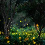 Yaz Aylarında Bahçenizde Daha Fazla Ateş Böceğinin Yaşamasına Yol Açabilecek Sonbahar Bakım Görevi