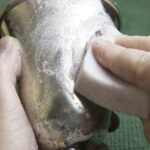 WD-40'ı Kullanarak İyi Gümüşünüze Koruyucu Bir Katman Verin