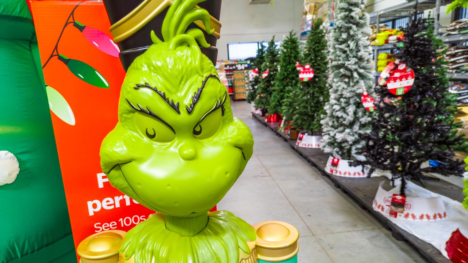 Bu Sevimli Dolar Ağacı Grinch Ağacı Kendin Yap Kalbinizi 3 Boyutta Büyütecek